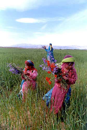 کارگردان: محسن مخملباف