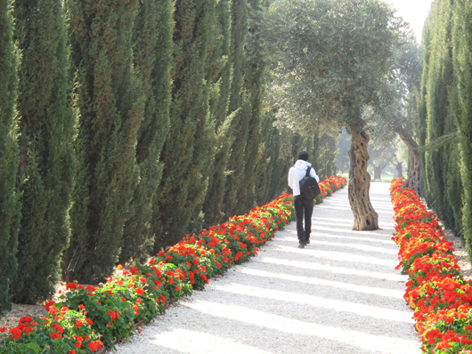 کارگردان: محسن مخملباف